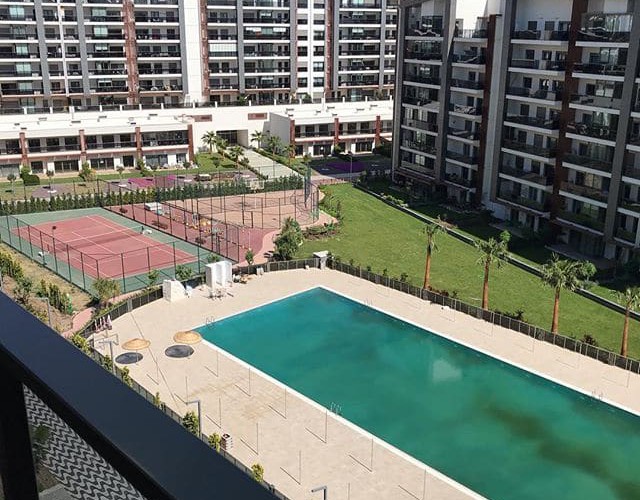 g_59599887_369146970610197_407878348552902428_n-(1).jpg  title=